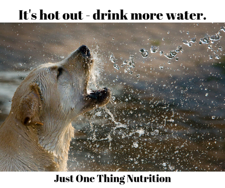 water, hydration, food, diet, wellness, nutrition, self-care, self care